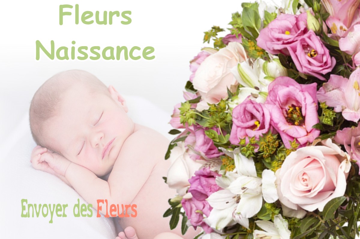 lIVRAISON FLEURS NAISSANCE à PEYNIER